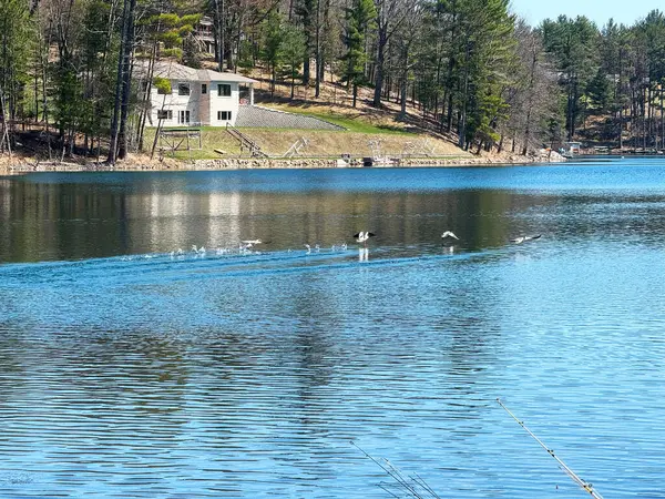 Güzel göl manzarası
