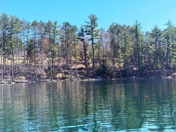 Güzel göl manzarası