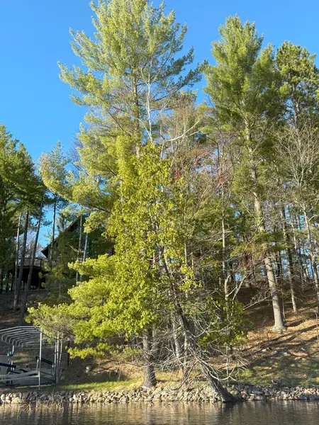 Sonbaharda göl ve orman.