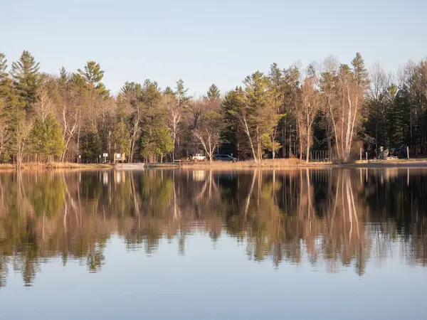 Parkta yansıması olan göl