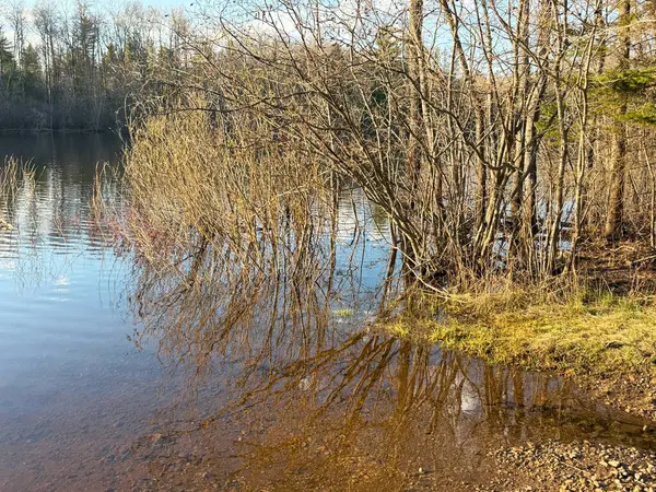 İlkbaharda nehirde yüksek su
