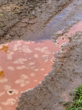 Su birikintisinde ıslak su birikintisi