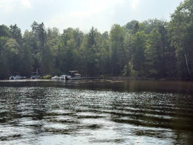Ağaçların ve ormanın arka planında tekneleri olan göl.