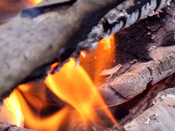 Şöminede yanan odun.