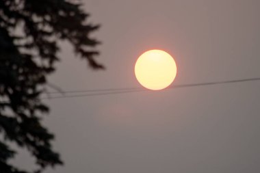 Ormanın üzerinde güzel bir gün batımı