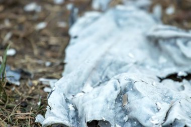 Yanmış karton küllerinden arta kalanları kapatın.