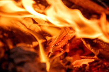 alevler siyah arkaplanda