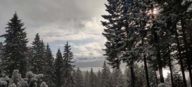 Dağlarda kış manzarası