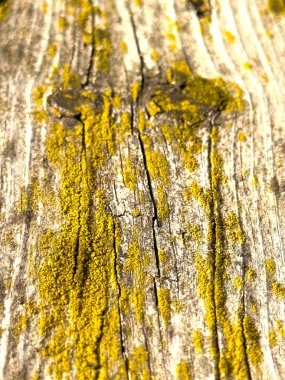 eski ahşap doku arkaplanı