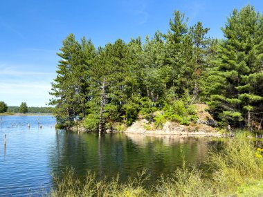 Ormanda göl ve göl