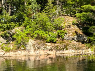 Ormandaki güzel göl.