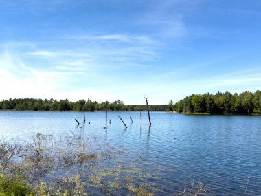 Doğanın güzel manzarası