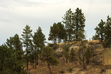 Beautiful landscape of the Yellowstone River Valley in Montana