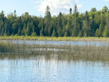 Güzel göl manzarası