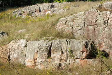 Ormanda büyük kaya kütleleri olan kaya oluşumları
