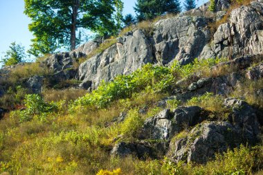 Sonbahar orman manzarası. Rusya 'ya. Karelya