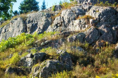 Dağ ormanlarının sonbahar manzarası