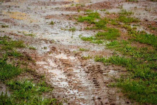 Yağmurdan sonra su birikintisi olan ıslak su birikintisi. yağmur