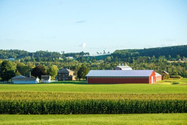Michigan 'da kırsal tarım arazisi