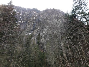 Sonbahar ormanlarındaki Karpatlar 'ın güzel dağı. Dağlardaki köyün ormanı. Dağ yamacındaki orman.