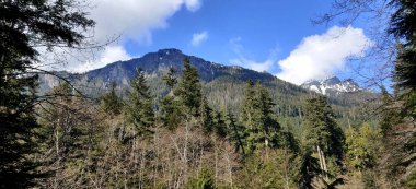 Yazın dağların manzarası