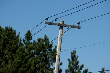 elektrik direği ve kablolar