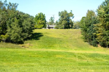 Çiçeklerle dolu güzel bir yaz manzarası