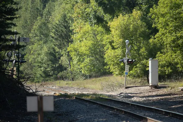 Ormanda demiryolu rayları