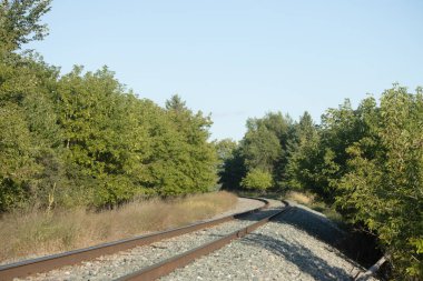 Güneşli bir sonbahar akşamında ormanda demiryolu rayları