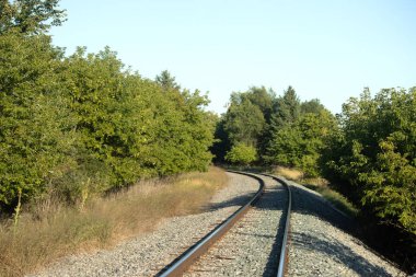 Ormandaki tren yolu.