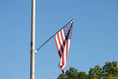 Birleşik Devletler Bayrağı