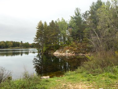 Ağaçlar ve bitkilerle çevrili küçük bir gölet..