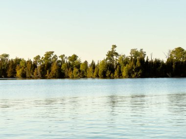 Göl ve ağaçlarla dolu güzel bir manzara