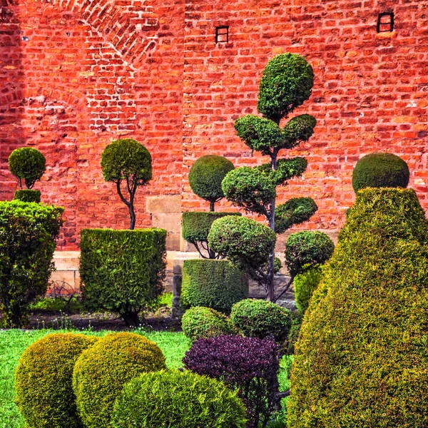 Bushes trimming to several geometric shapes in the temple garden in Krakow, Polan