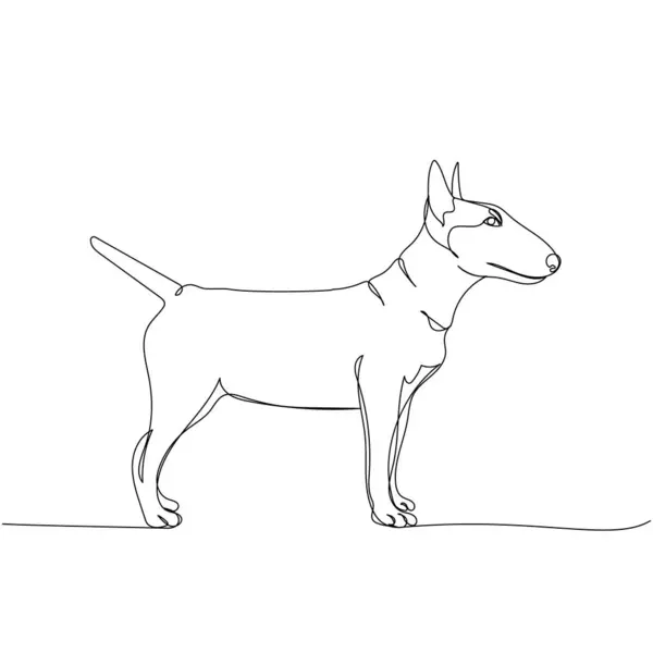 Miniatyr Bull Terrier Hunderase Engelsk Hund Linje Kunst Kontinuerlig Linjetegning – stockvektor