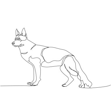 Alman çoban köpeği, köpek cinsi, çoban köpeği, bir satır sanat eseri. Arkadaş, köpek, arkadaşlık, ilgi, evcil hayvan, hayvan, aile, köpek eli çizimleri devam ediyor.
