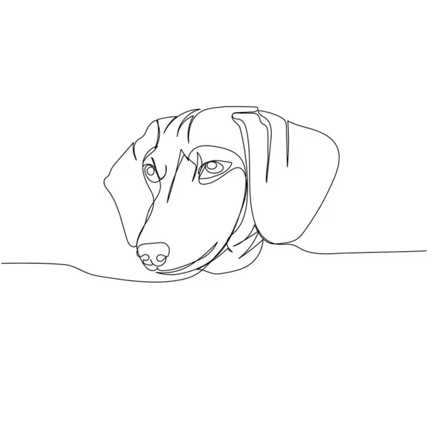 Dachshund Korthåret Teckel Hunderase Følgesvenn Hund Jakt Hund Line Art – stockvektor