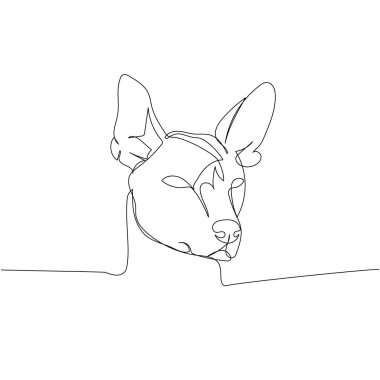 Xoloitzcuintli köpek cinsi, Meksikalı tüysüz köpek, Meksika 'nın ulusal köpeği. Dost köpek, köpek, arkadaşlık, ilgi, evcil hayvan, hayvan ve köpek çizimleri devam ediyor. El çizimi vektör illüstrasyonu