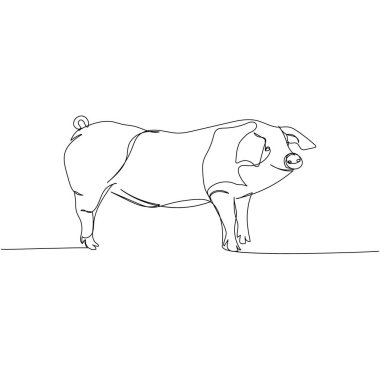 Domuz, yaban domuzu, çiftlik hayvanı, domuz yavrusu. Sürekli çiftlik, doğa, tarım, çiftlik hayvanları, kırsal yaşam ve çiftlik çizimleri. El çizimi vektör illüstrasyonu