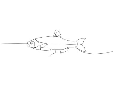 balık, deniz balığı, nehir balığı, ringa balığı, goby, çipura bir çizgi sanat. Çiftlik, doğa, tarım, balık çiftçiliği, balıkçılık gibi sürekli çizimler. El çizimi vektör illüstrasyonu