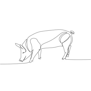 Domuz, yaban domuzu, çiftlik hayvanı, domuz yavrusu. Sürekli çiftlik, doğa, tarım, çiftlik hayvanları, kırsal yaşam ve çiftlik çizimleri. El çizimi vektör illüstrasyonu