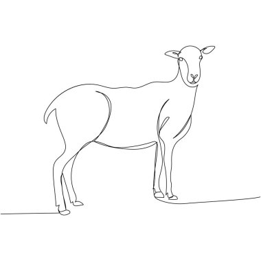 Koyun, koç, çiftlik hayvanı, keçi bir çizgi sanatı. Sürekli çiftlik, doğa, tarım, çiftlik hayvanları, kırsal yaşam ve çiftlik çizimleri. El çizimi vektör illüstrasyonu