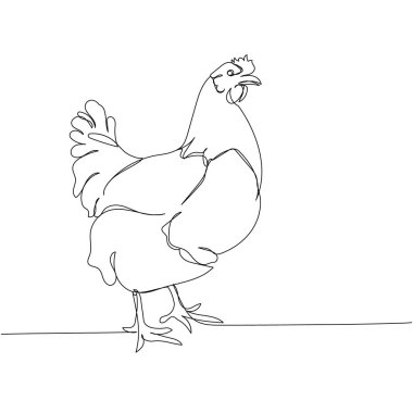 Tavuk, kümes hayvanları, horoz bir çizgi sanat. Sürekli çiftlik, doğa, tarım, çiftlik hayvanları, kırsal yaşam ve çiftlik çizimleri. El çizimi vektör illüstrasyonu