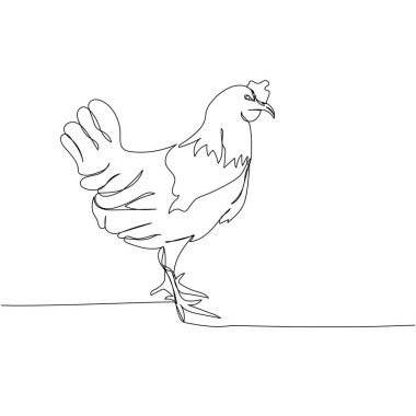 Tavuk, kümes hayvanları, horoz bir çizgi sanat. Sürekli çiftlik, doğa, tarım, çiftlik hayvanları, kırsal yaşam ve çiftlik çizimleri. El çizimi vektör illüstrasyonu