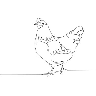 Tavuk, kümes hayvanları, horoz bir çizgi sanat. Sürekli çiftlik, doğa, tarım, çiftlik hayvanları, kırsal yaşam ve çiftlik çizimleri. El çizimi vektör illüstrasyonu