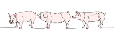 Domuz seti, yaban domuzu, çiftlik hayvanı, domuz yavrusu bir çizgi renk, renkli sanat. Sürekli çiftlik, doğa, tarım, çiftlik hayvanları, kırsal yaşam ve çiftlik çizimleri. El çizimi vektör illüstrasyonu