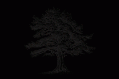 Lübnan 'ın basılabilir duvar sanatı, ağaç sanat baskısı, Rustik baskı sanatı, klasik eskiz