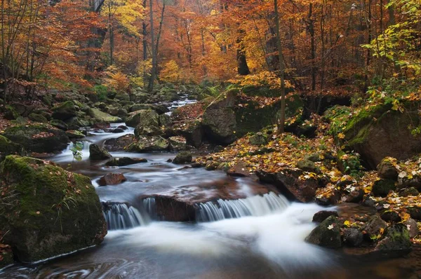 秋のアイルズブルック イルゼタル渓谷 ハーツ地域 ザクセン アンハルト州 ドイツ ヨーロッパ — ストック写真