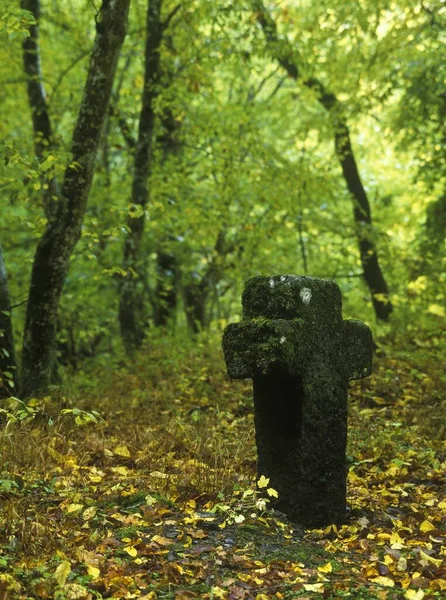 Stone Cross Woods Maria Martental Enderttal Eifel Rhineland Palatinate Germany — Stock Photo, Image