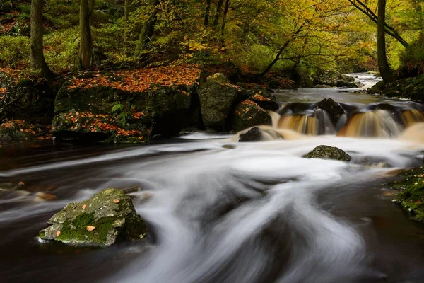 Floden Hoegne Hösten Hohes Venn Ardennerna Vallonien Belgien Europa — Stockfoto